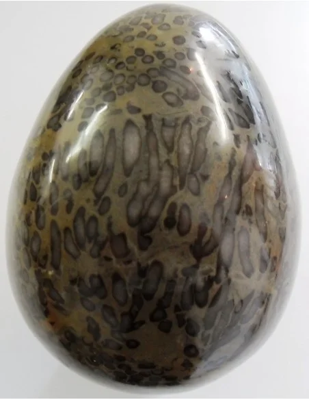 Oeuf en corail fossilisé