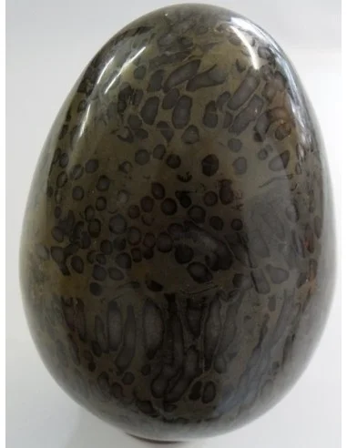 Oeuf en corail fossilisé