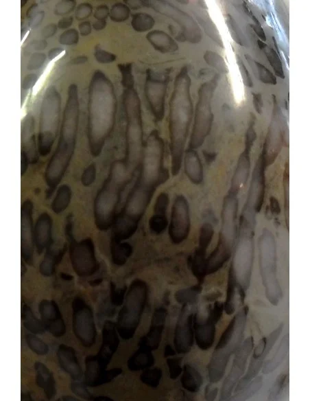 Oeuf en corail fossilisé