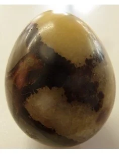 Septarian oeuf
