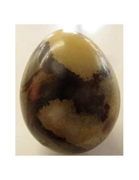 Septarian oeuf
