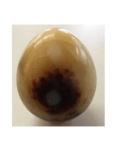 Septarian oeuf
