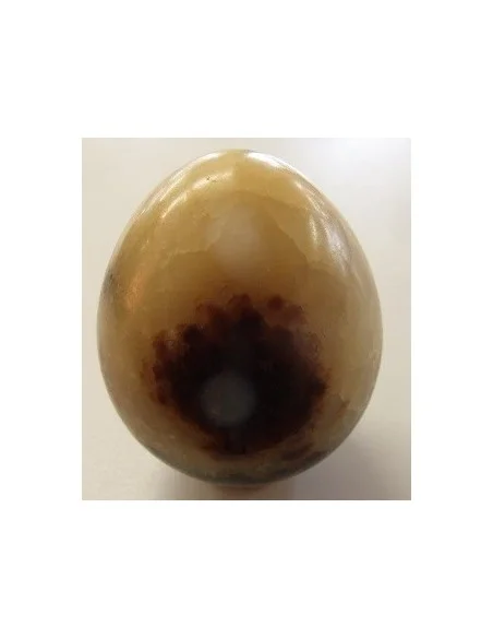 Septarian oeuf